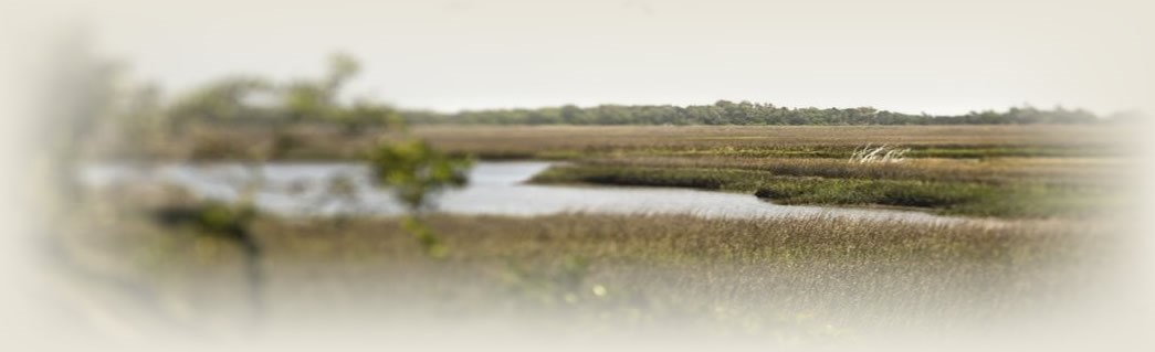 Bald Head Island
