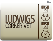Ludwigs Corner Vet in Chester Springs.