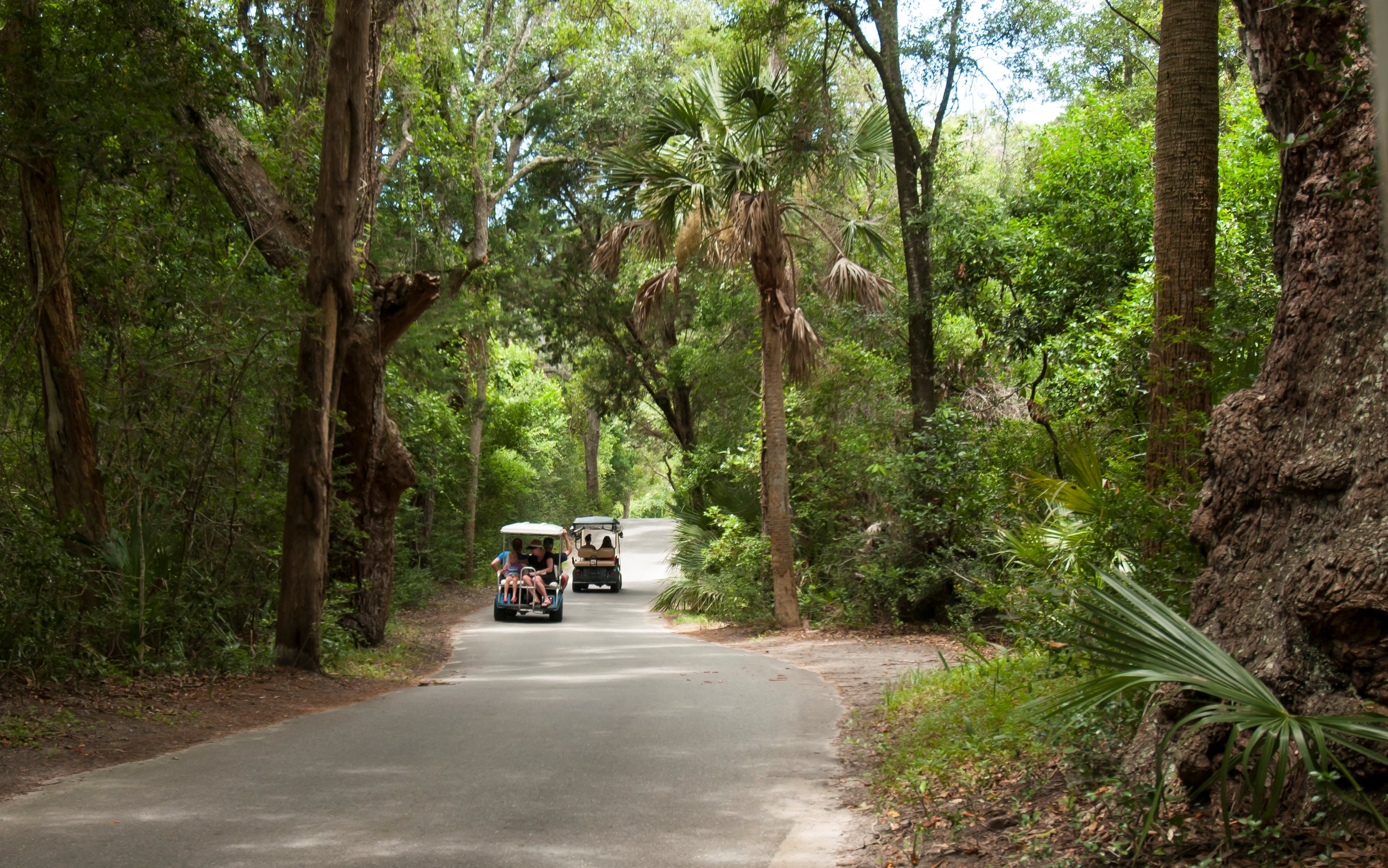 Bald Head Island