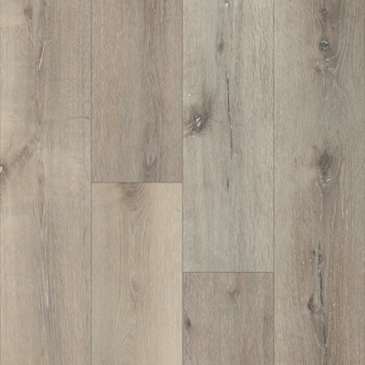 Laurel Oak