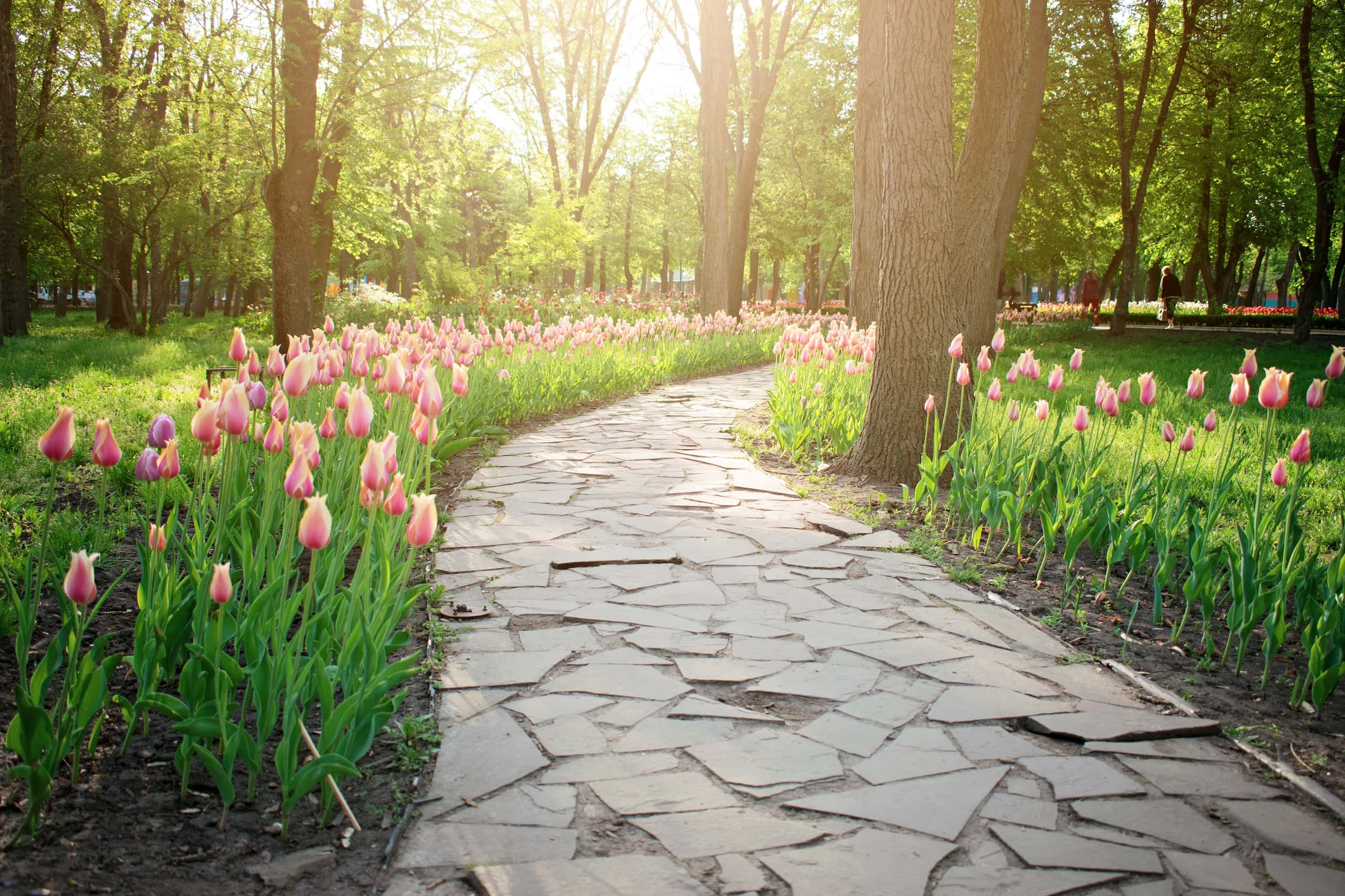Arboretum