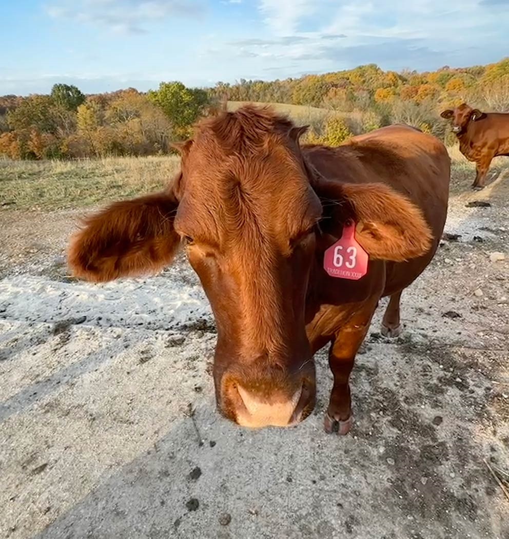 Our Farm