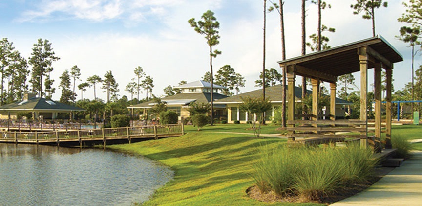 Palmetto Creek of the Carolinas