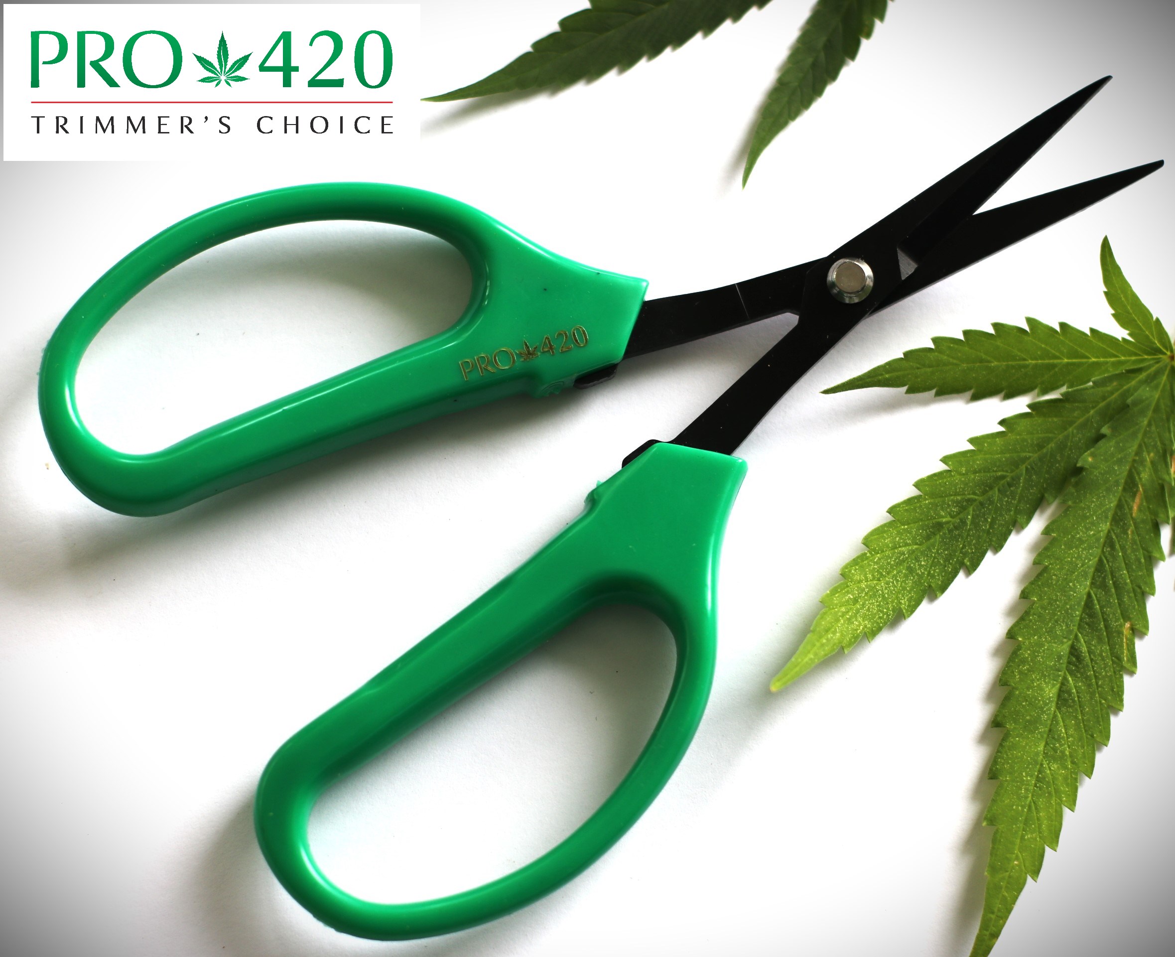 PRO 420 Scissors - 6 Pack of Classic Bonsai Professional Trimming Scissors for Cannabis - Spring Loaded Scissors