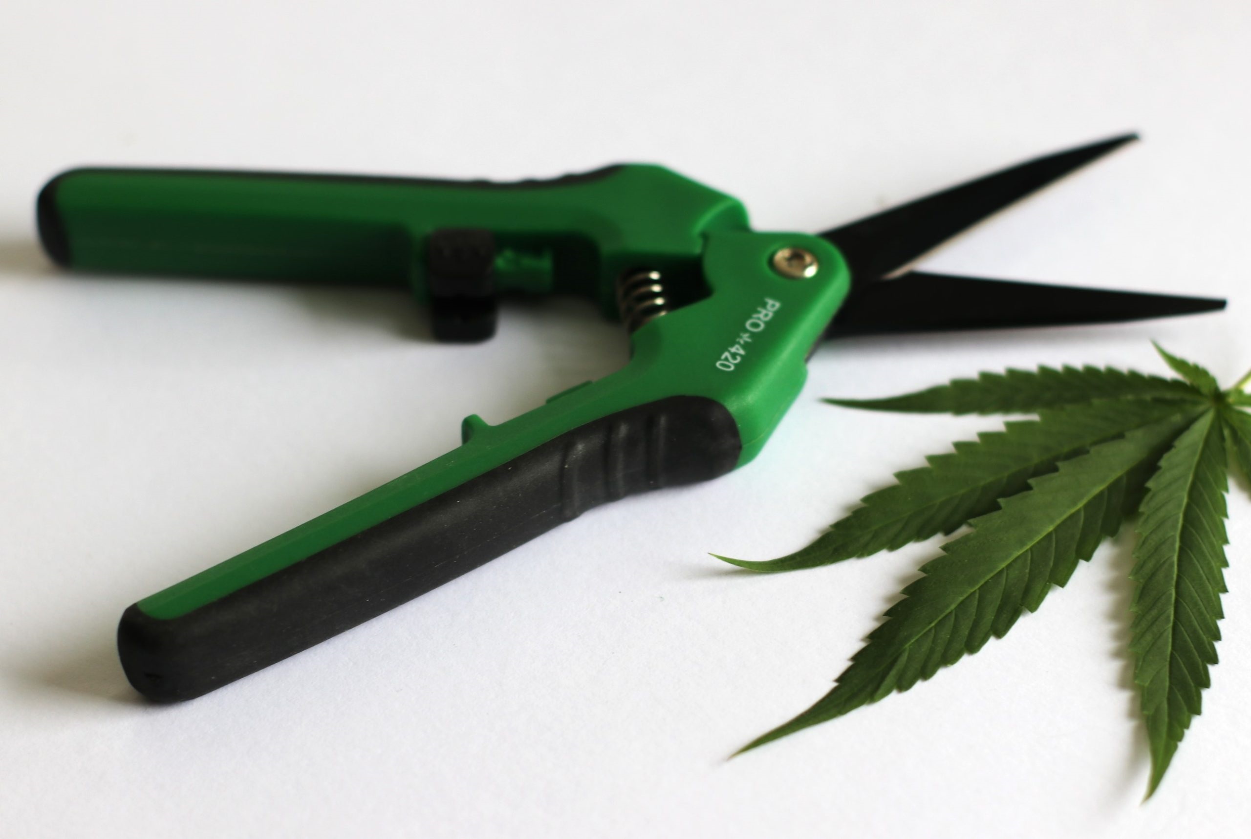 PRO 420 Spring Loaded Scissors- 2 Pack of Professional Trimming Scissors - Spring Loaded Scissors