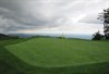 champ image 1493535