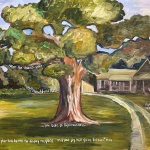 Rock Fish Meadows Is. 61