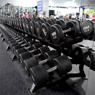 Trufit Dead lifting